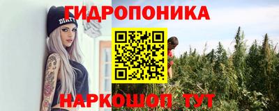 спиды Гагарин