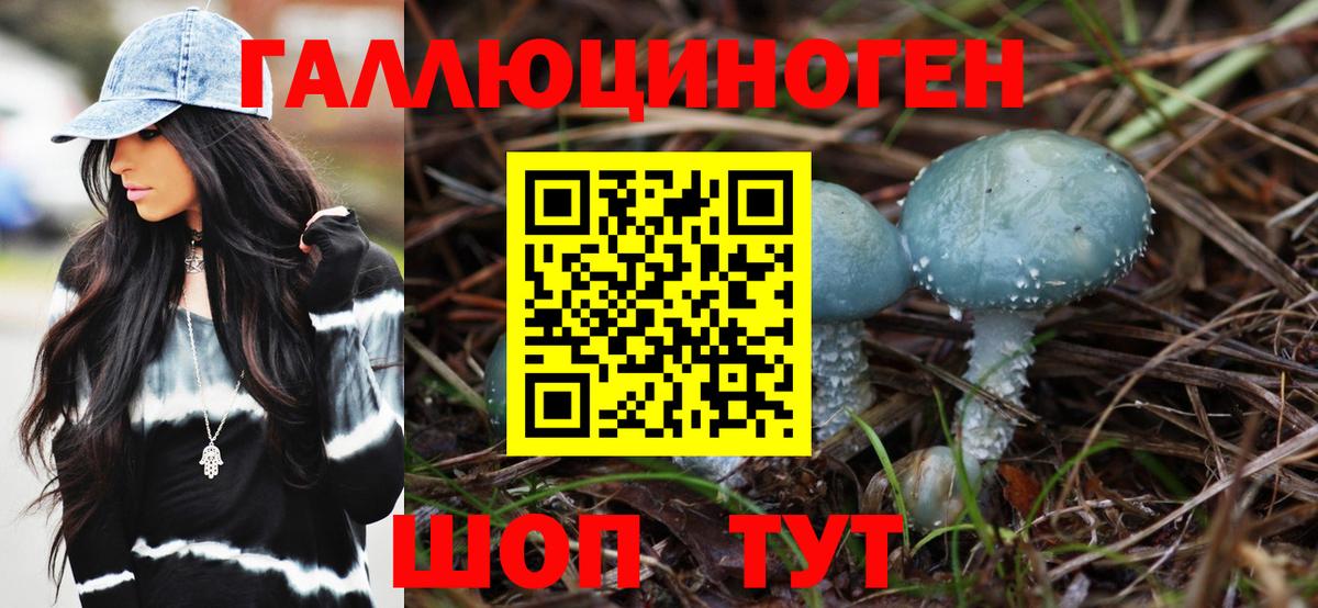 Галлюциногенные грибы Psilocybine cubensis  Псилоцибиновые грибы ЛСД  Жигулёвск 