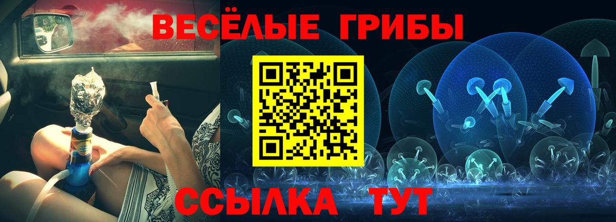 Галлюциногенные грибы GOLDEN TEACHER Жигулёвск